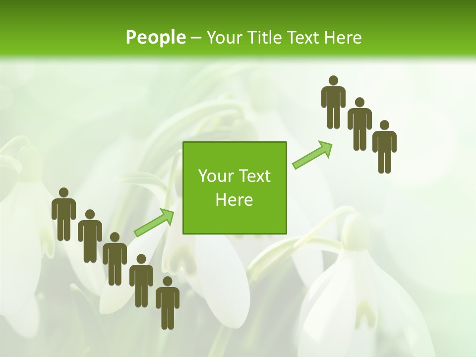 Holiday Tiny Botanical PowerPoint Template