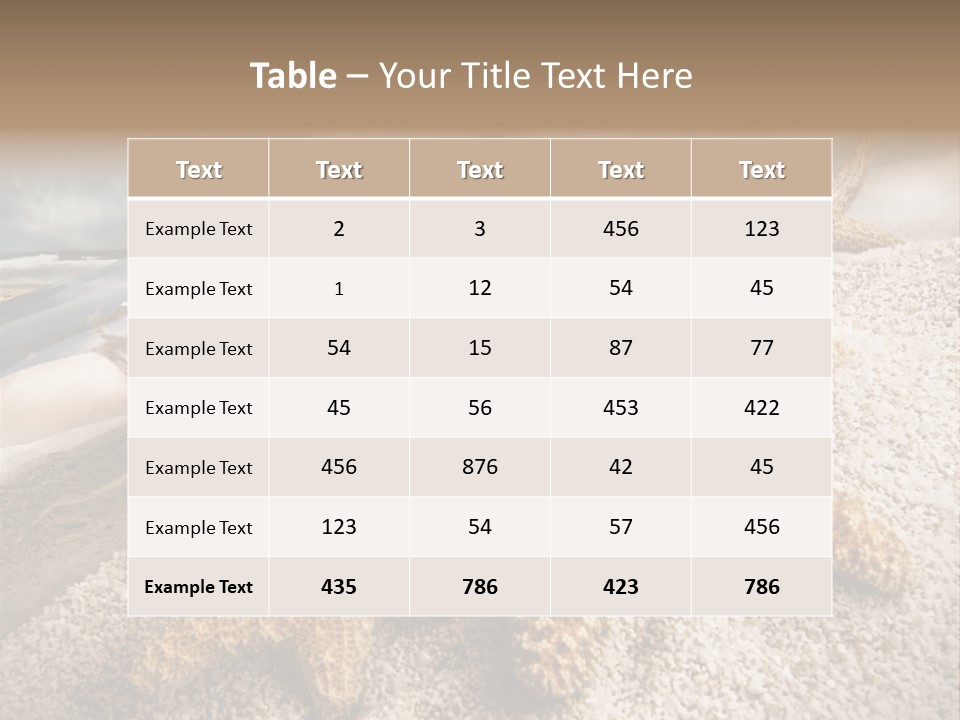 Pirate Message Ocean PowerPoint Template