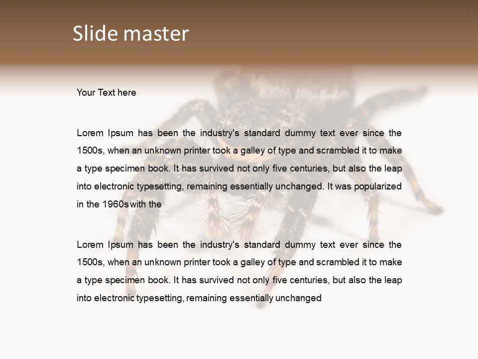 Animal Arachnida White PowerPoint Template