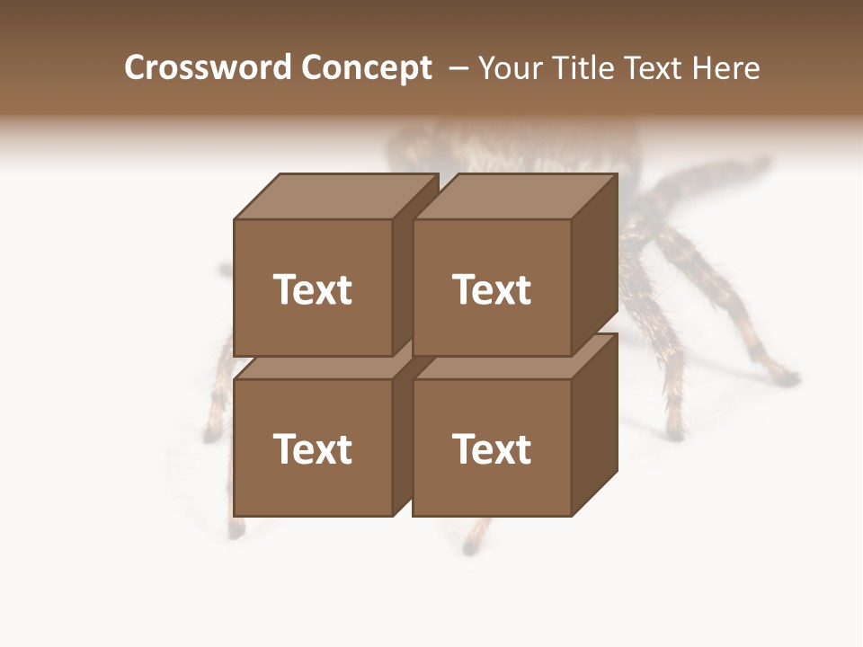 Animal Arachnida White PowerPoint Template