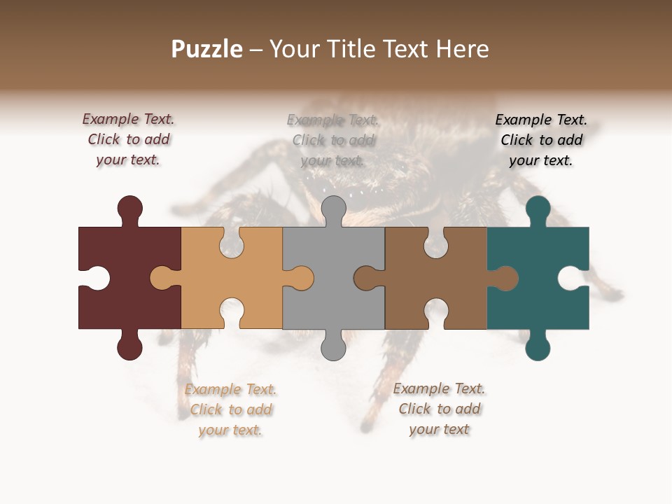 Animal Arachnida White PowerPoint Template