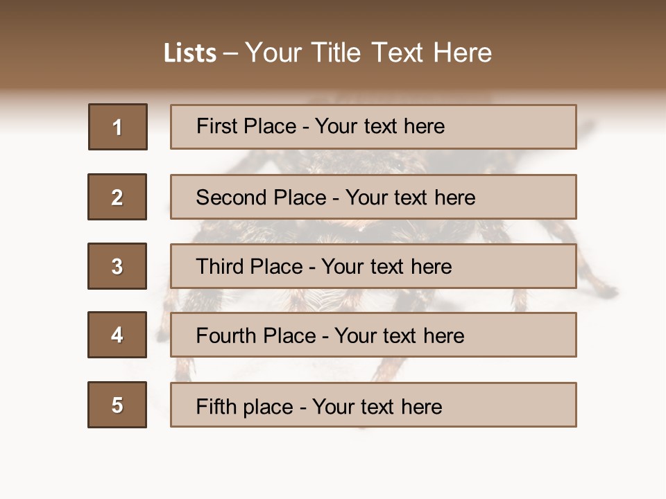 Animal Arachnida White PowerPoint Template