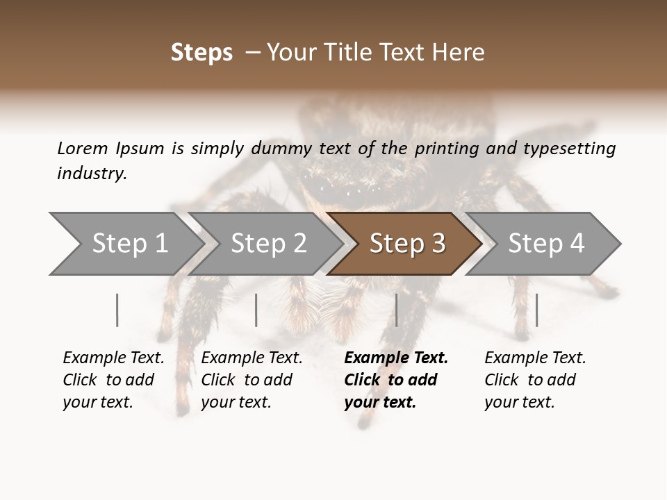 Animal Arachnida White PowerPoint Template