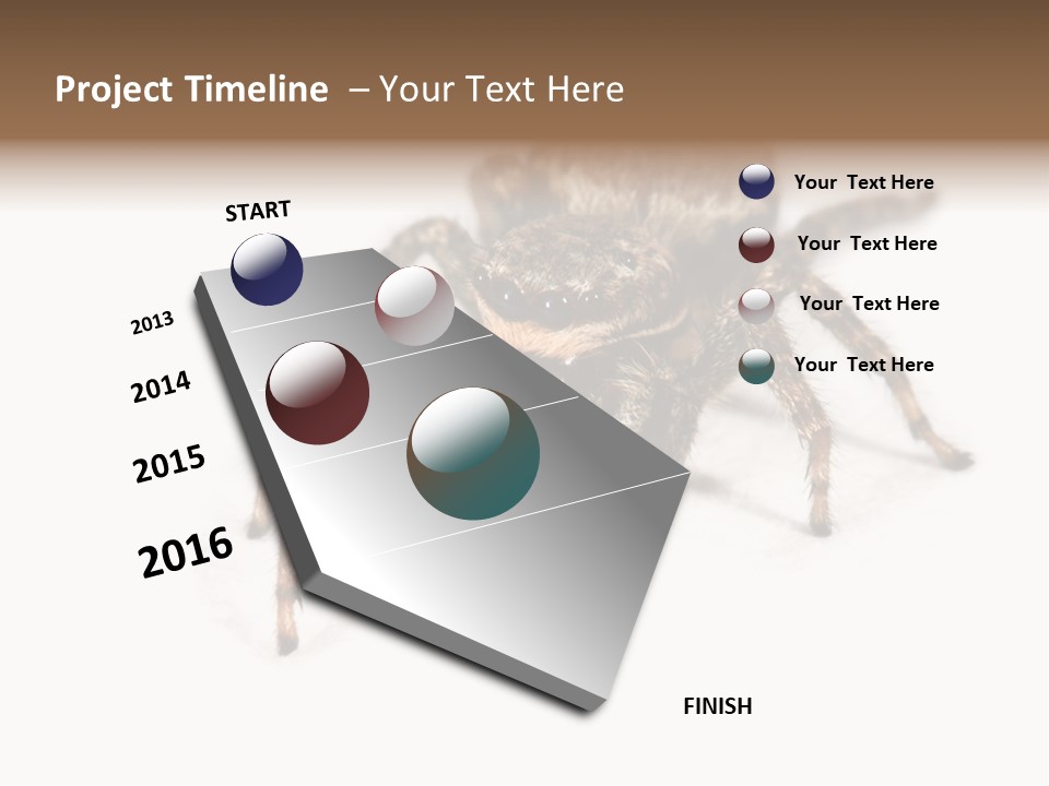 Animal Arachnida White PowerPoint Template