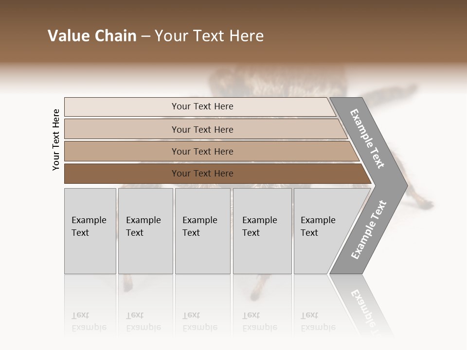 Animal Arachnida White PowerPoint Template
