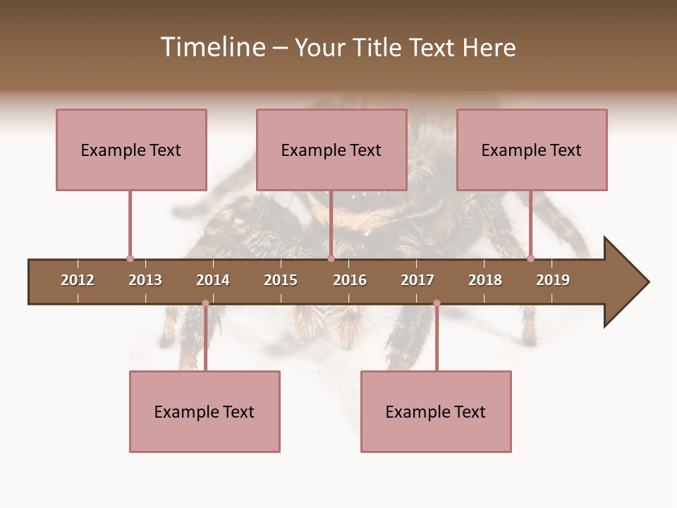 Animal Arachnida White PowerPoint Template