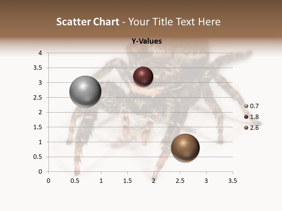 Animal Arachnida White PowerPoint Template