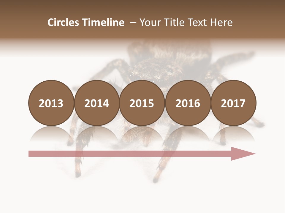 Animal Arachnida White PowerPoint Template