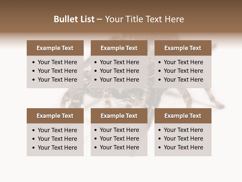 Animal Arachnida White PowerPoint Template