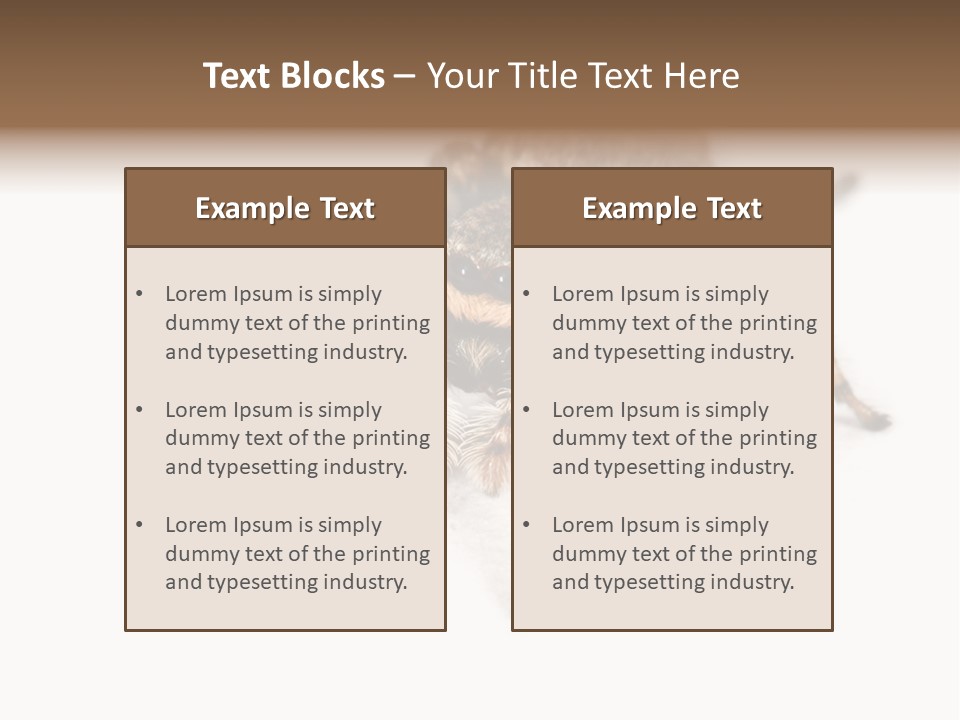 Animal Arachnida White PowerPoint Template