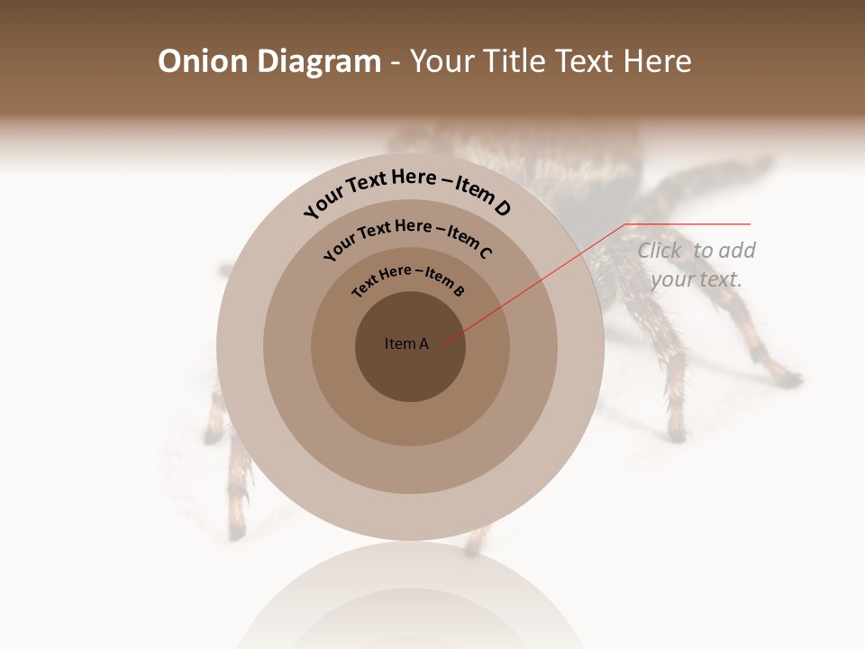 Animal Arachnida White PowerPoint Template