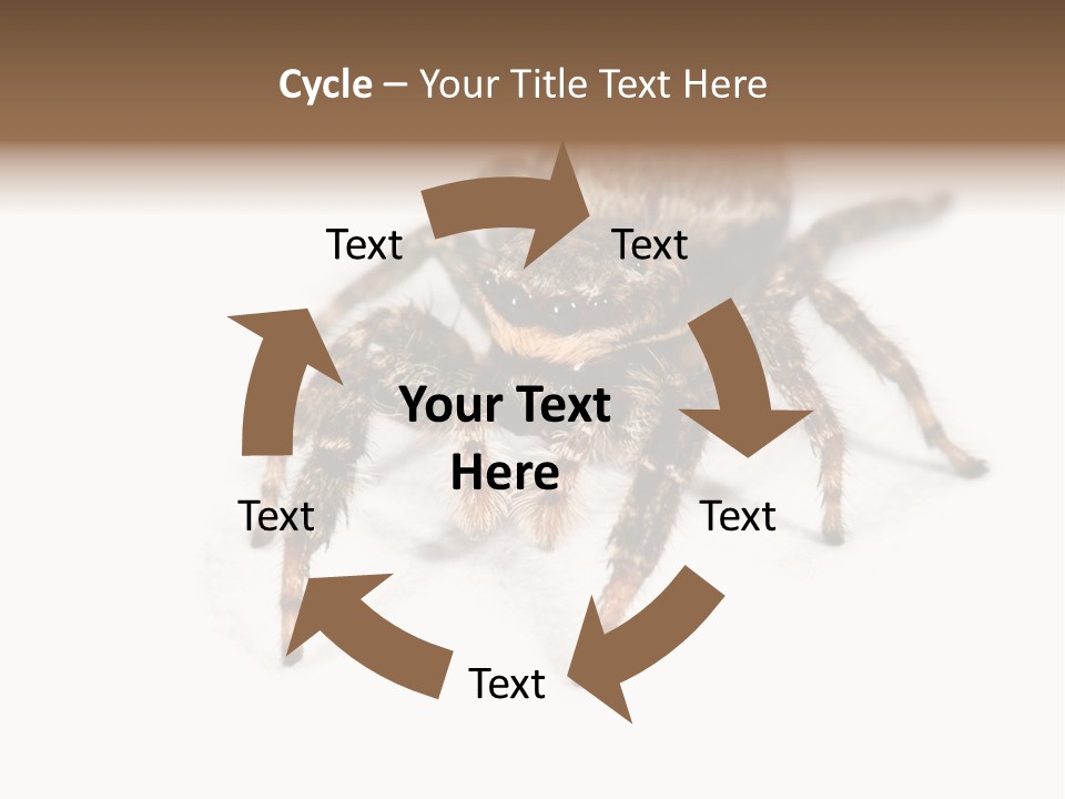 Animal Arachnida White PowerPoint Template