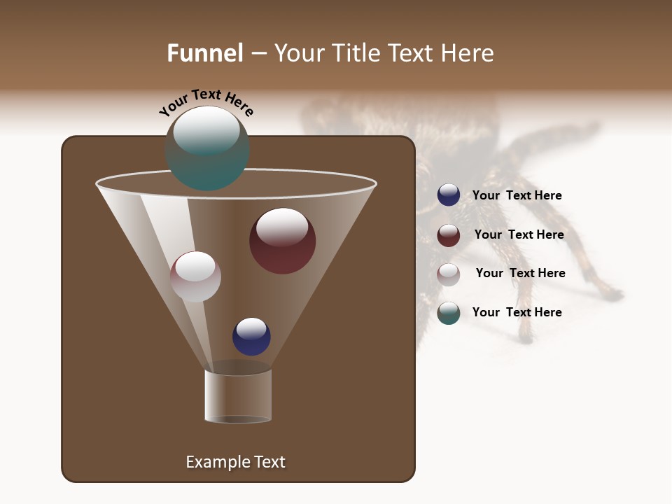 Animal Arachnida White PowerPoint Template