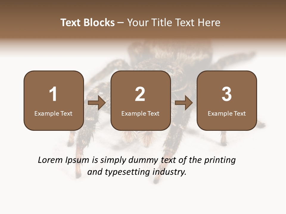 Animal Arachnida White PowerPoint Template