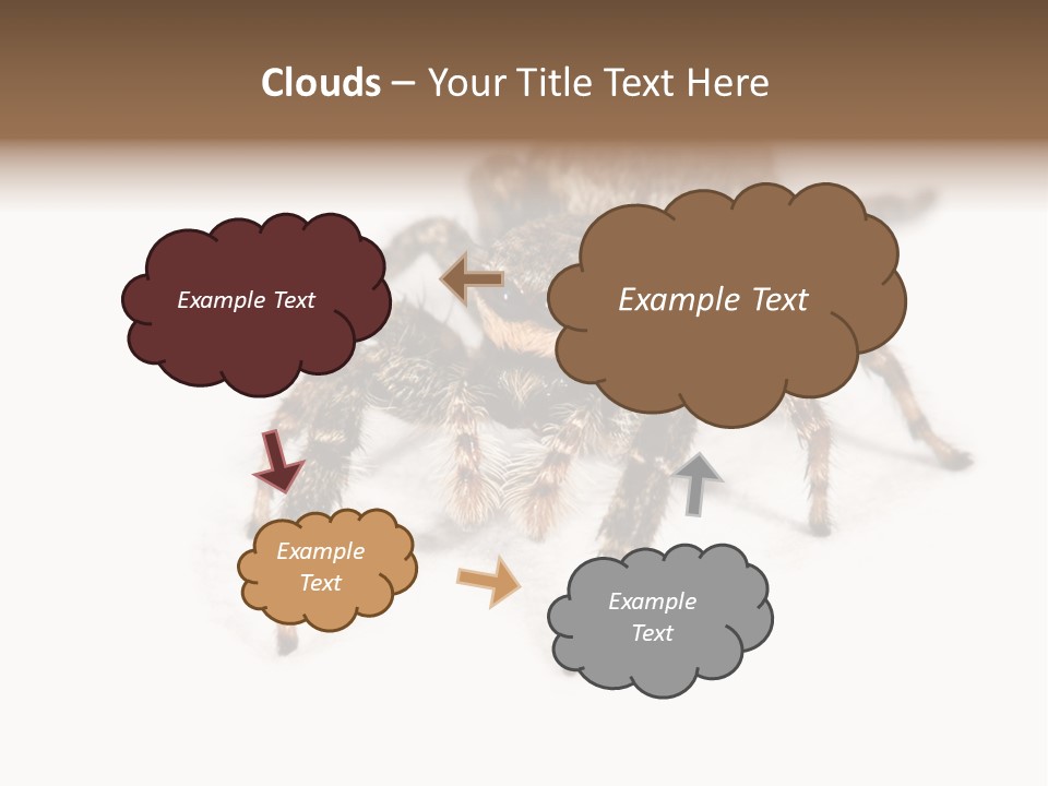 Animal Arachnida White PowerPoint Template