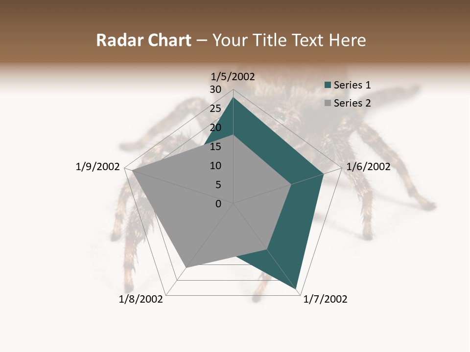 Animal Arachnida White PowerPoint Template