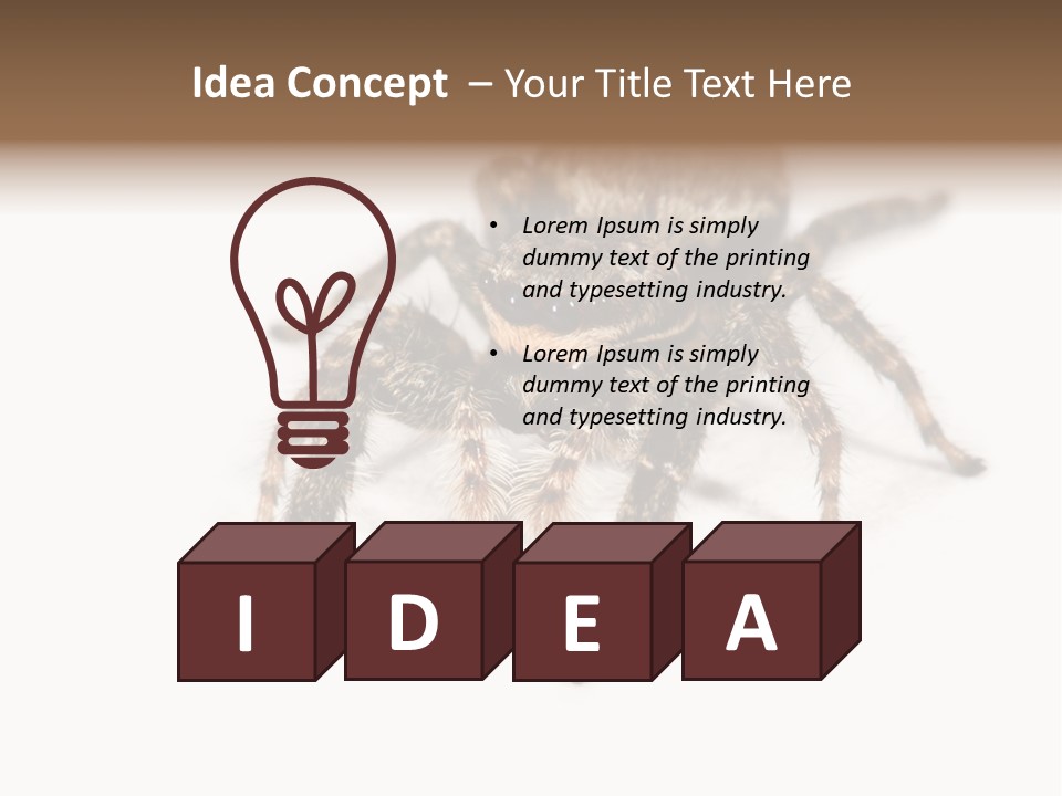 Animal Arachnida White PowerPoint Template