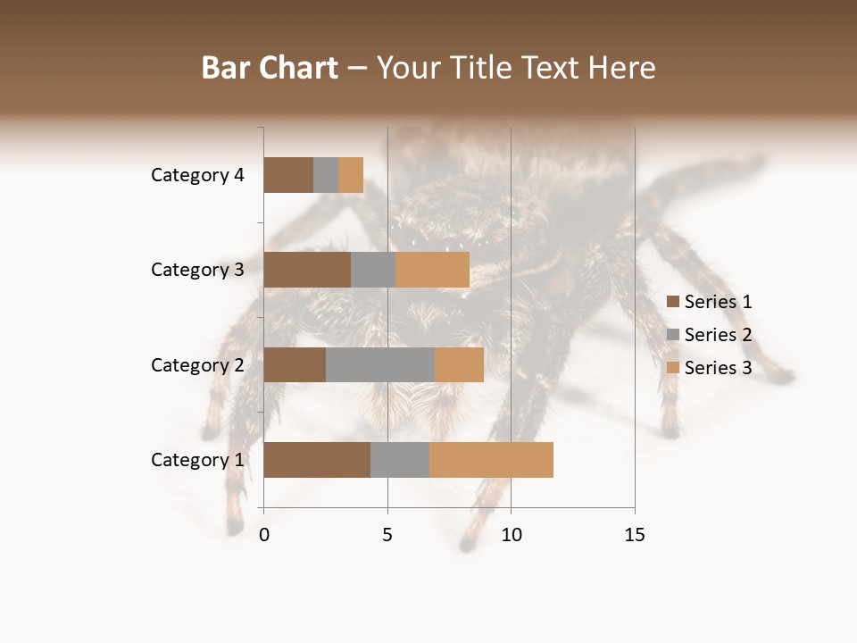 Animal Arachnida White PowerPoint Template