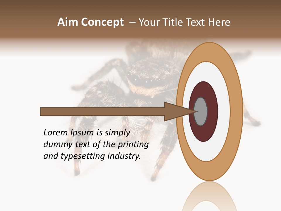 Animal Arachnida White PowerPoint Template