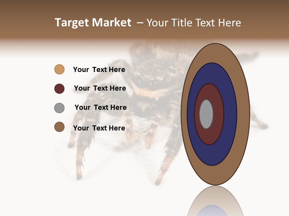Animal Arachnida White PowerPoint Template