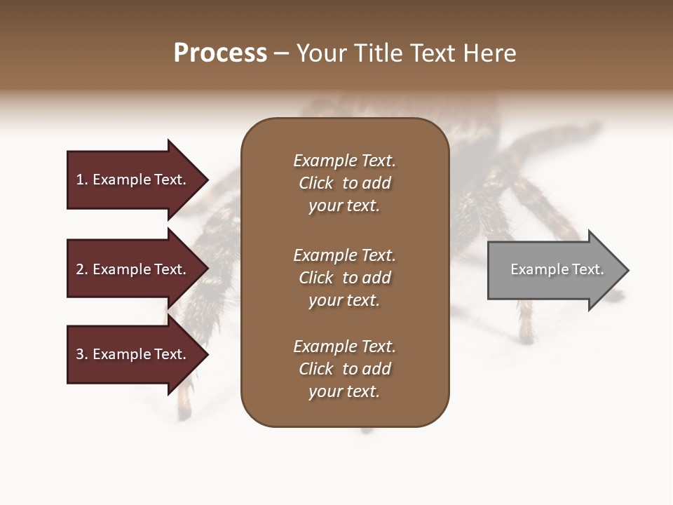 Animal Arachnida White PowerPoint Template