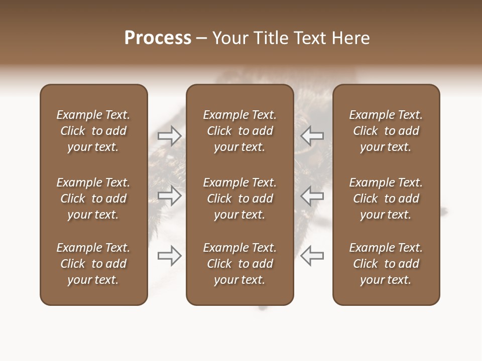 Animal Arachnida White PowerPoint Template