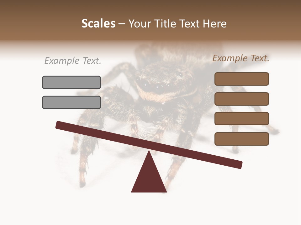 Animal Arachnida White PowerPoint Template