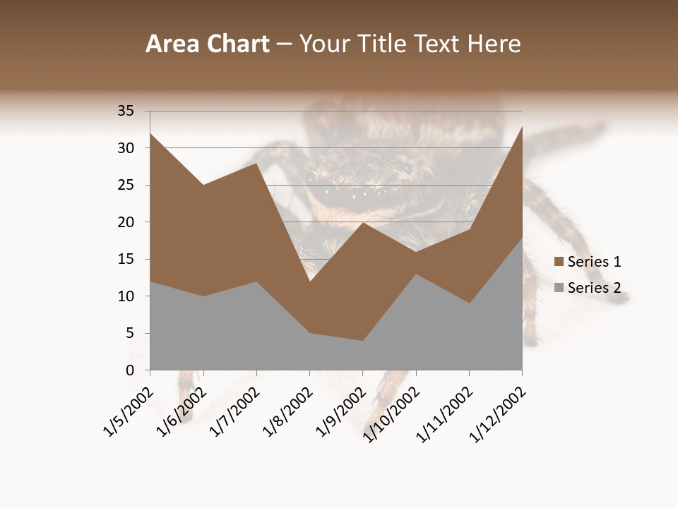 Animal Arachnida White PowerPoint Template