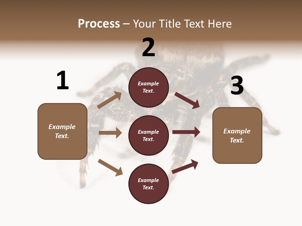 Animal Arachnida White PowerPoint Template