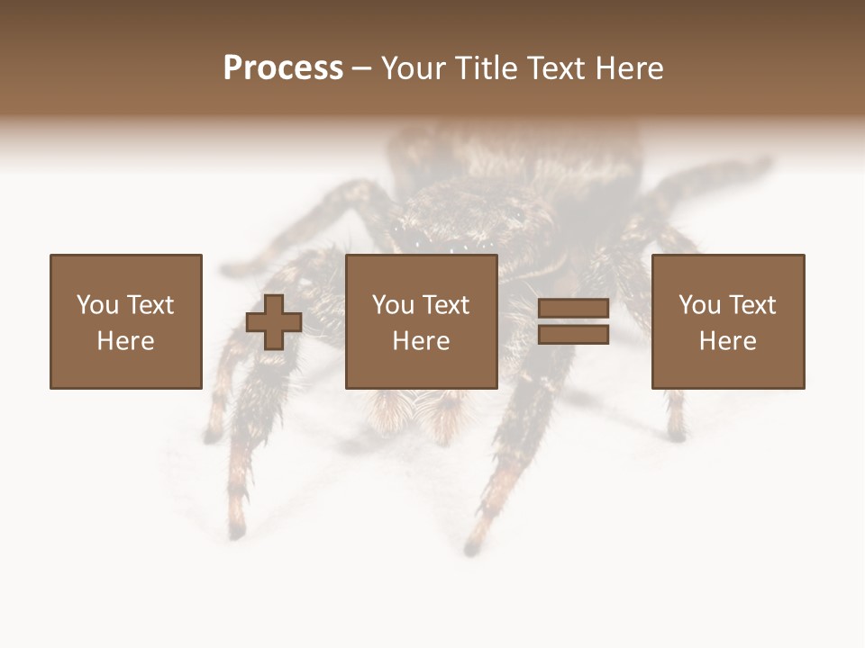 Animal Arachnida White PowerPoint Template