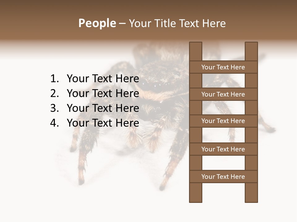 Animal Arachnida White PowerPoint Template