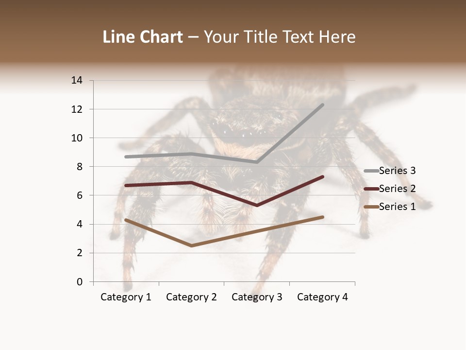 Animal Arachnida White PowerPoint Template