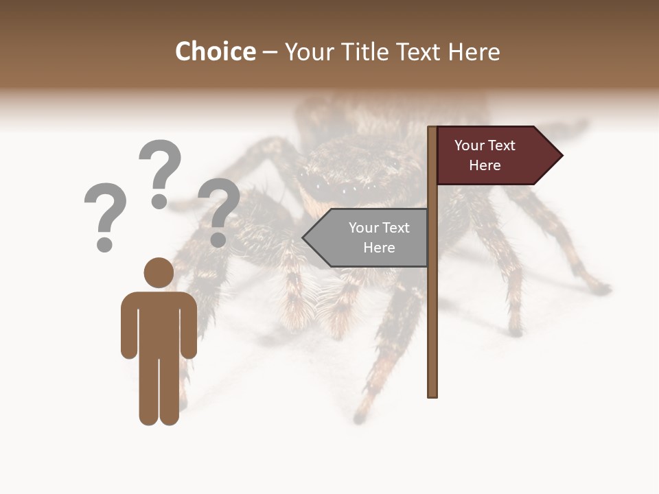 Animal Arachnida White PowerPoint Template