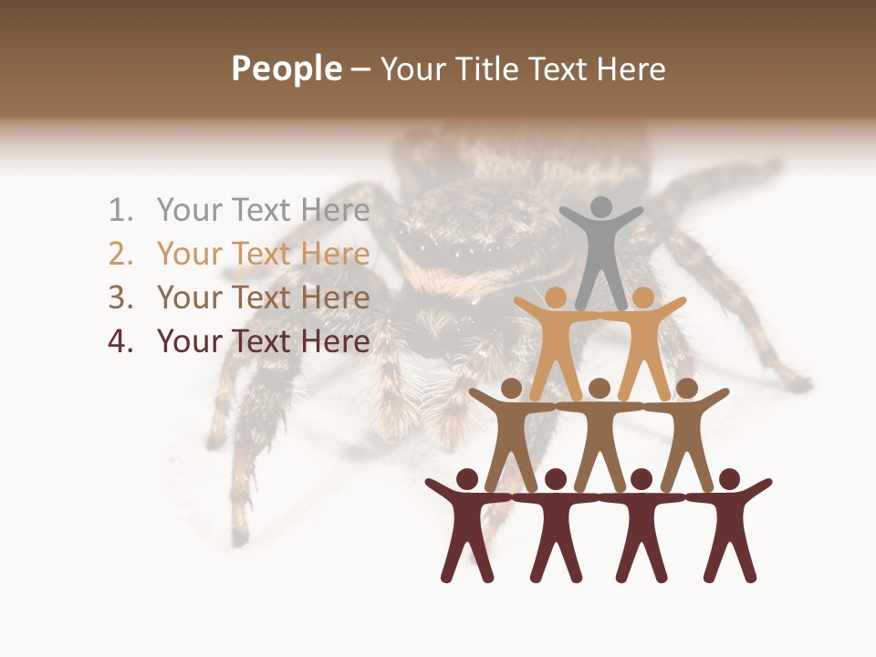 Animal Arachnida White PowerPoint Template