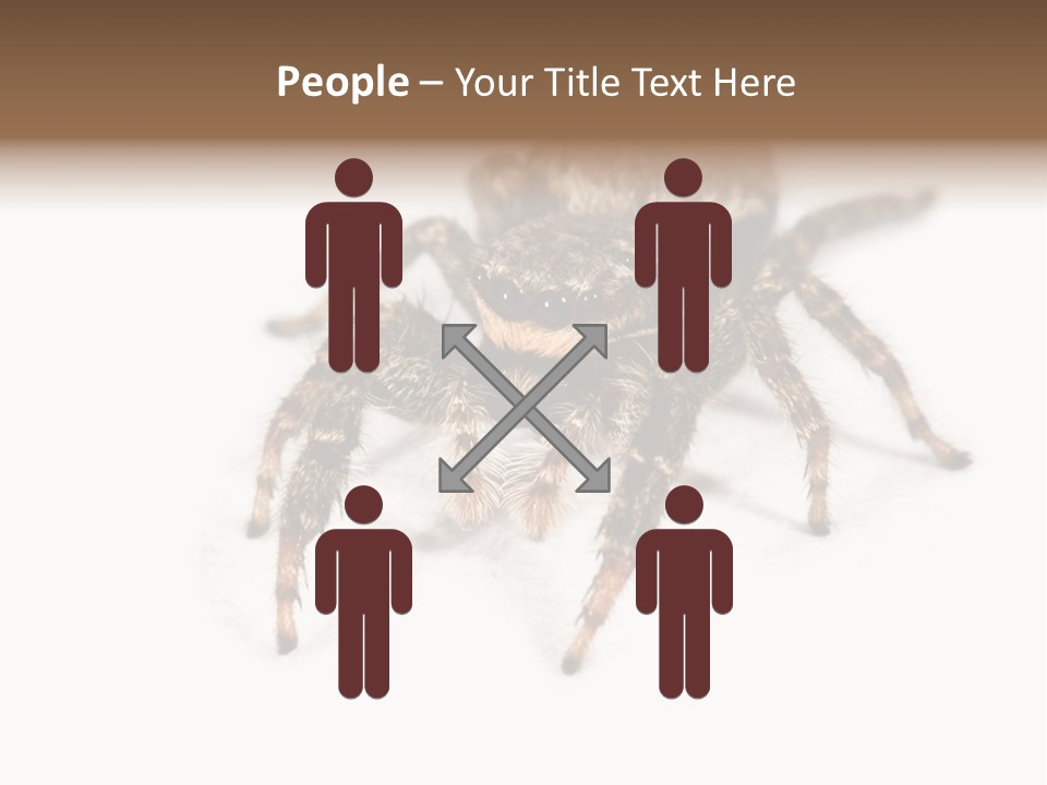 Animal Arachnida White PowerPoint Template