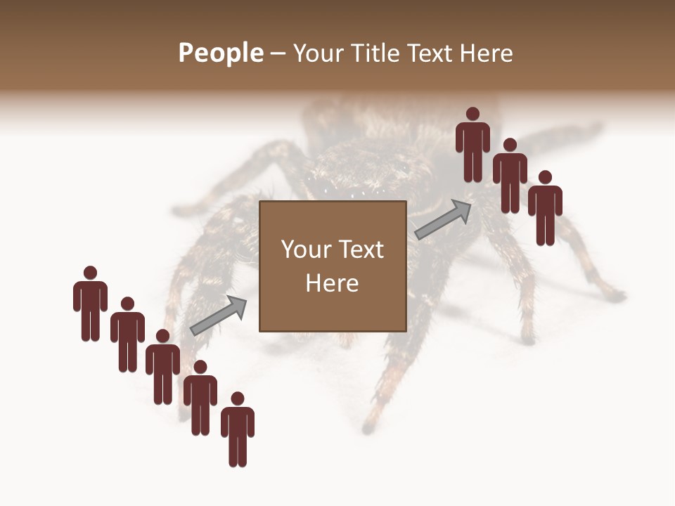 Animal Arachnida White PowerPoint Template