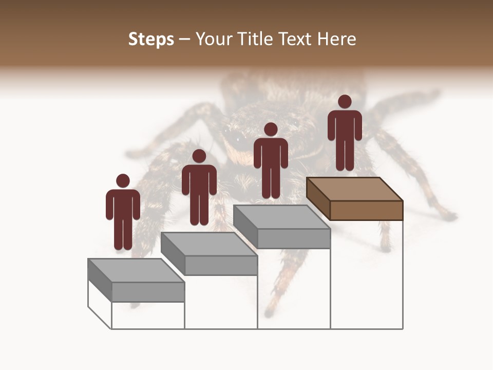 Animal Arachnida White PowerPoint Template