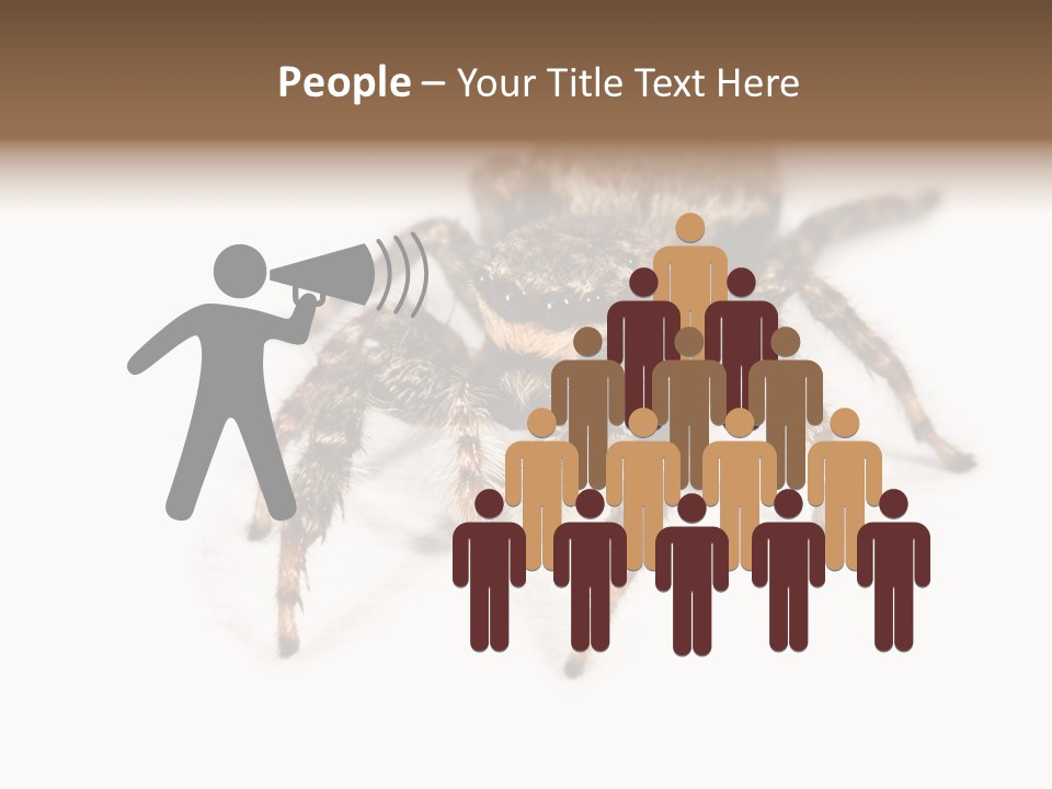 Animal Arachnida White PowerPoint Template