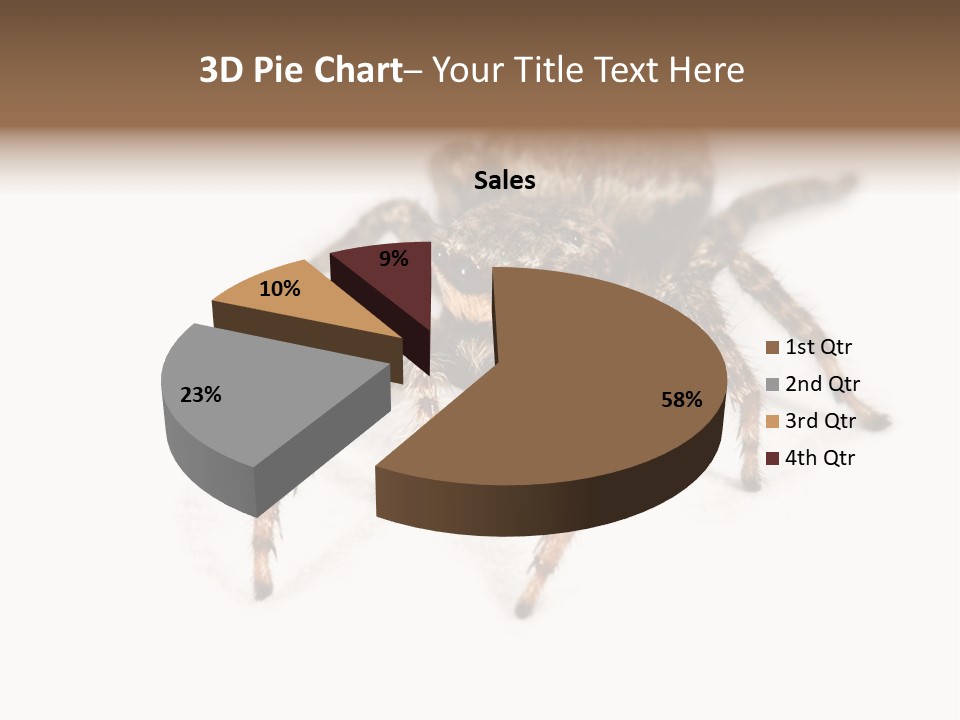 Animal Arachnida White PowerPoint Template