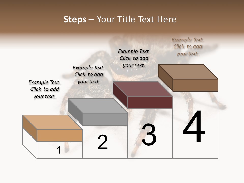 Animal Arachnida White PowerPoint Template