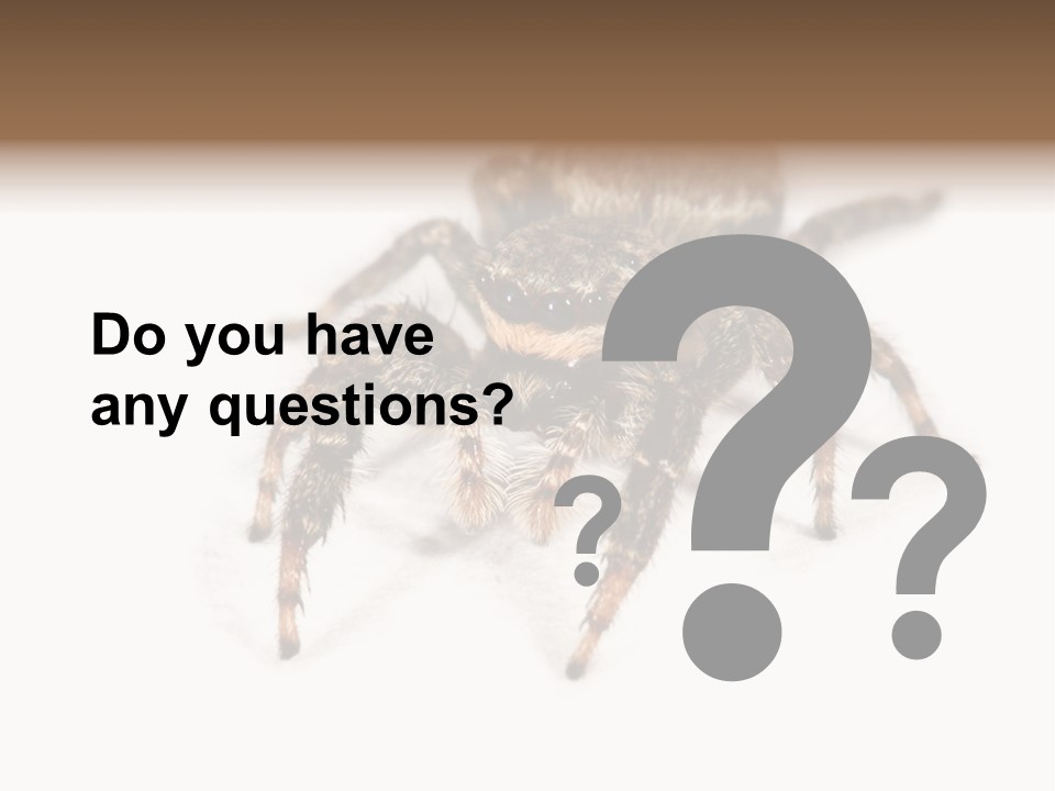 Animal Arachnida White PowerPoint Template