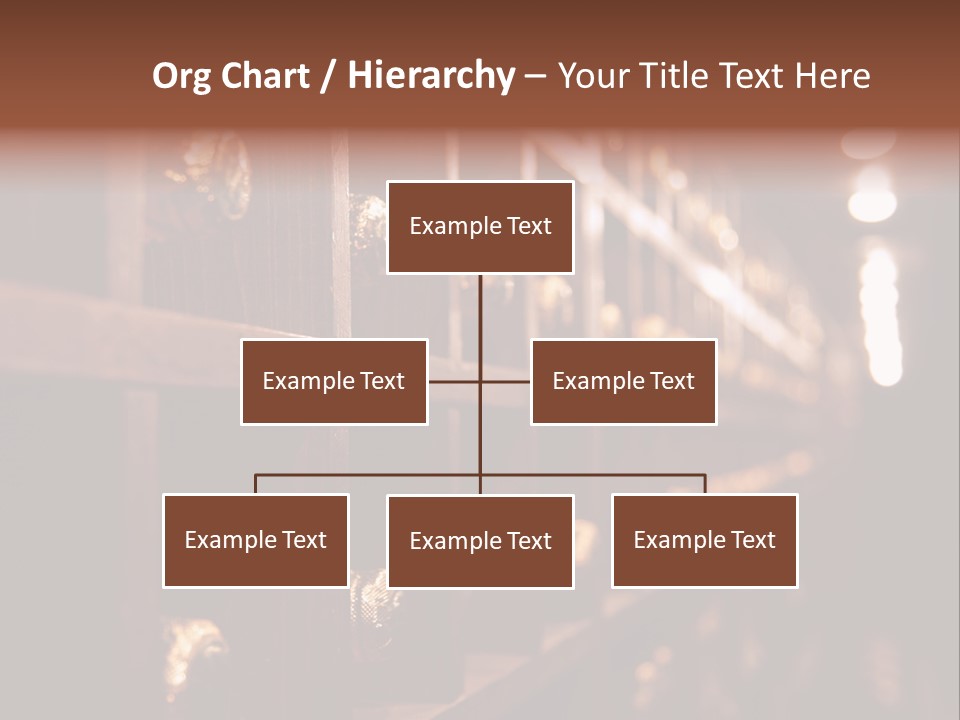 Row Alcohol Rack PowerPoint Template