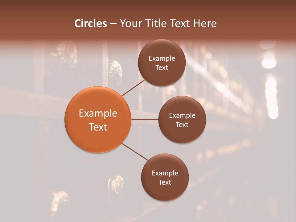 Row Alcohol Rack PowerPoint Template