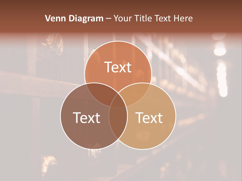 Row Alcohol Rack PowerPoint Template