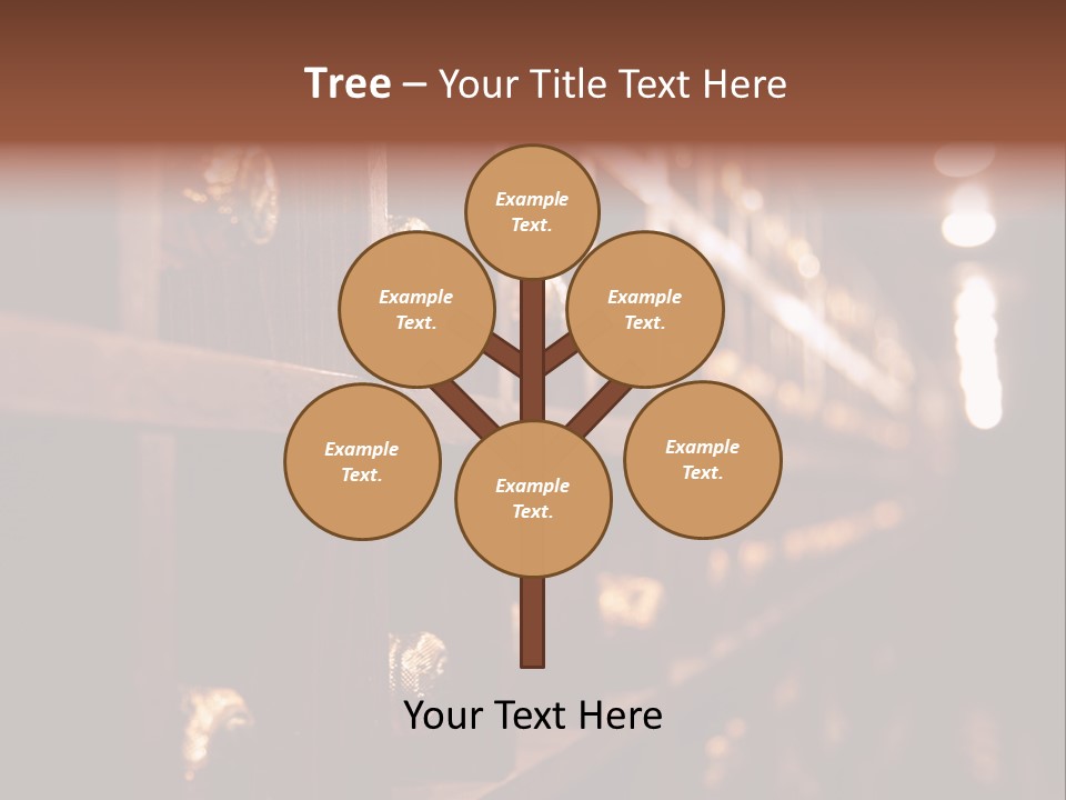 Row Alcohol Rack PowerPoint Template