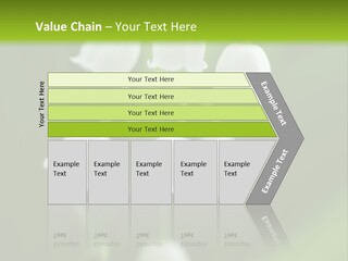 Natural Delicious Salt PowerPoint Template