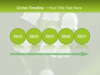Natural Delicious Salt PowerPoint Template