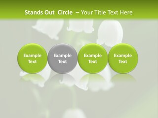 Natural Delicious Salt PowerPoint Template