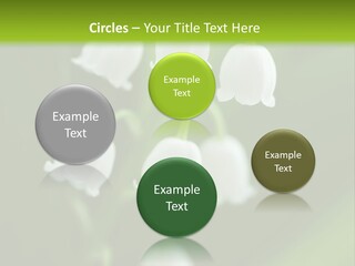 Natural Delicious Salt PowerPoint Template