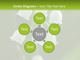 Natural Delicious Salt PowerPoint Template